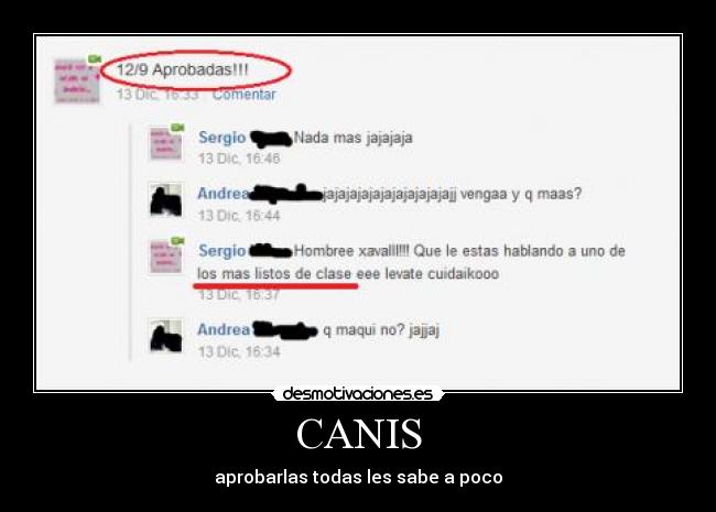 CANIS - aprobarlas todas les sabe a poco