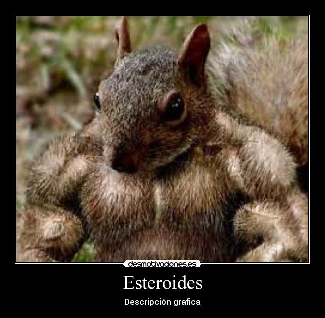 Esteroides - Descripción grafica