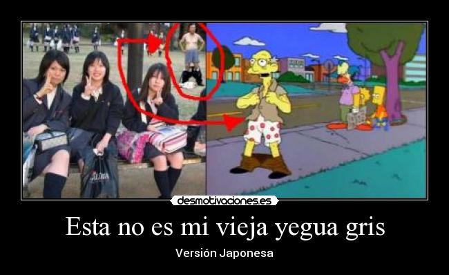 carteles esta vieja yegua gris los simpson desmotivaciones japonesas chinas etc desmotivaciones