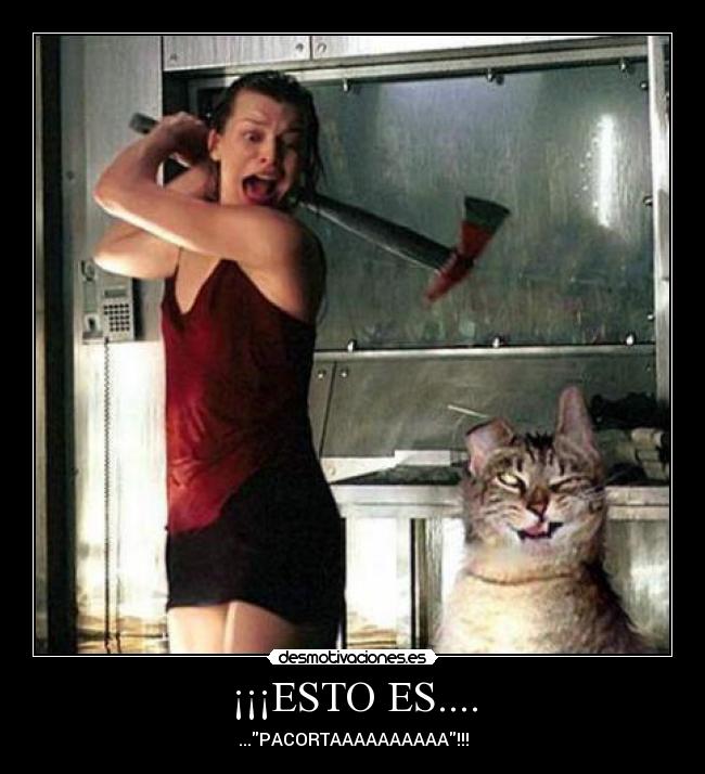 ¡¡¡ESTO ES.... - 