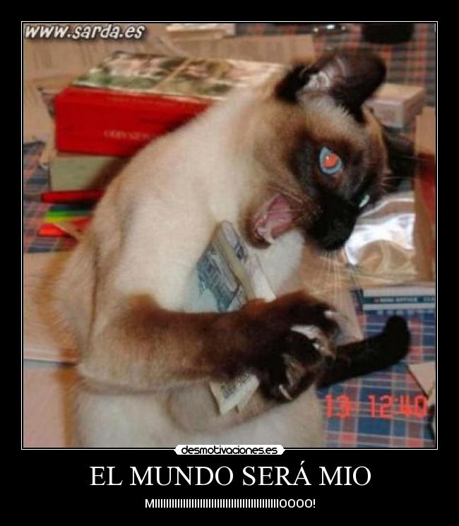 carteles mundo gatos locos principal silver_800 wat_k desmotivaciones