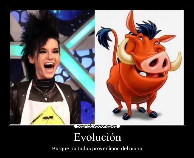 Evolución - 