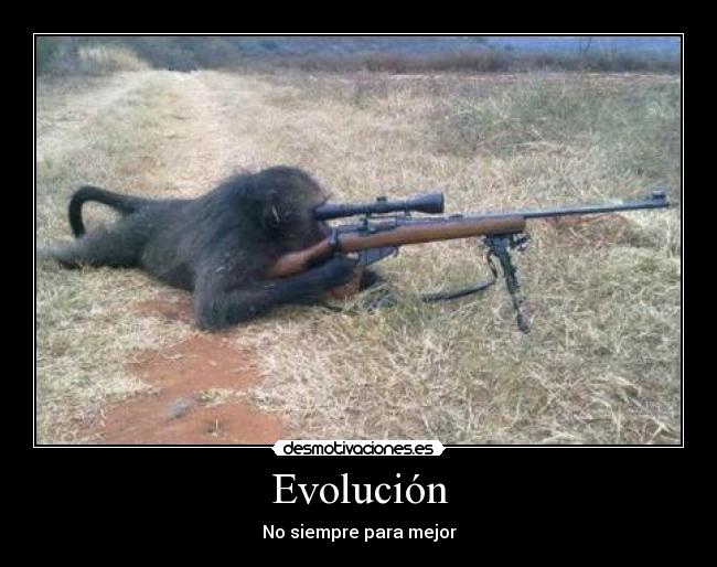 Evolución - No siempre para mejor