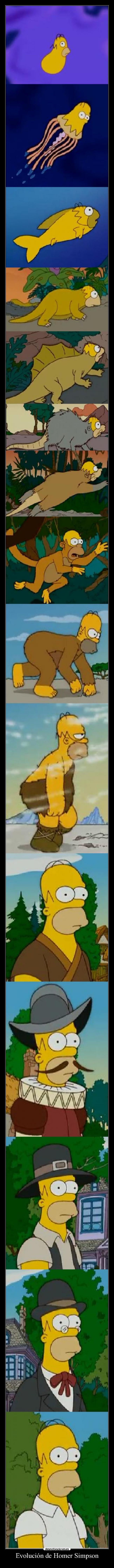 Evolución de Homer Simpson -