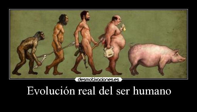 Evolución real del ser humano - 