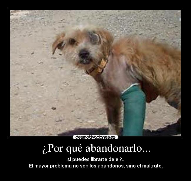 ¿Por qué abandonarlo... - 