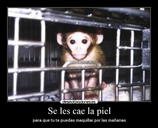 Se les cae la piel - 