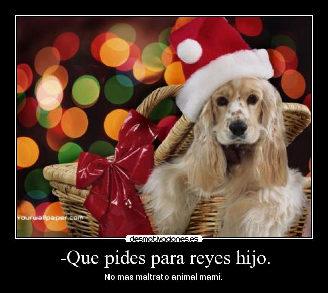 -Que pides para reyes hijo. - 