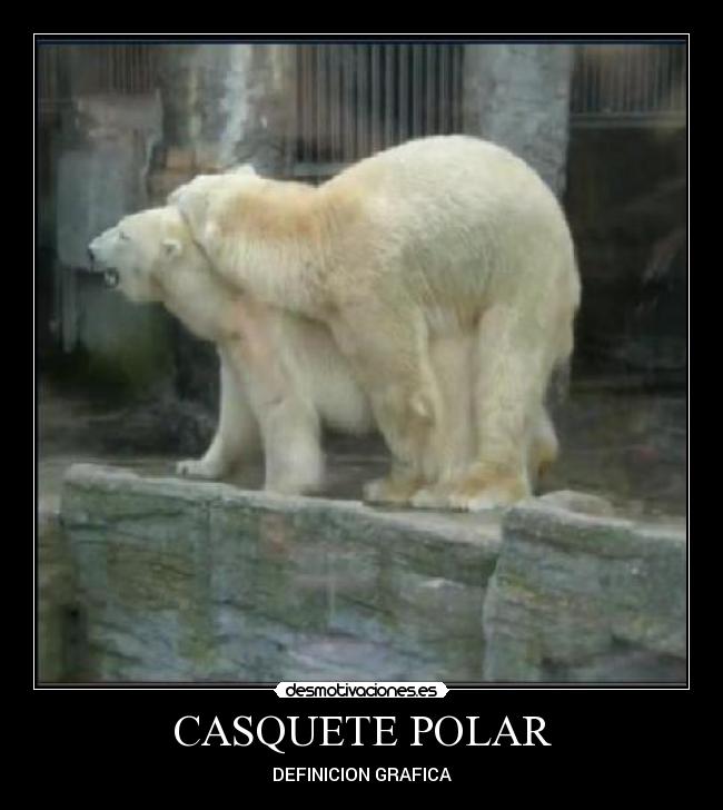 CASQUETE POLAR - DEFINICION GRAFICA