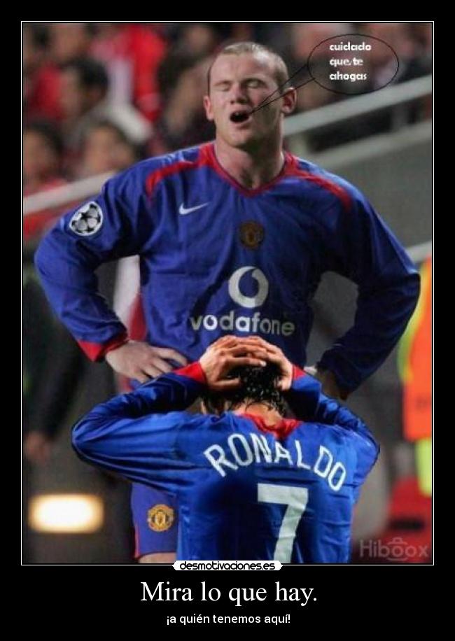 Mira lo que hay. - ¡a quién tenemos aquí!