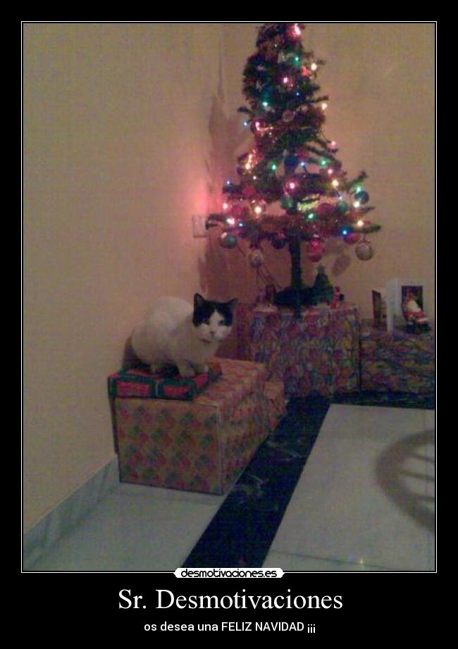 Sr. Desmotivaciones - 