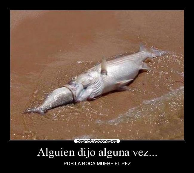 Alguien dijo alguna vez... -