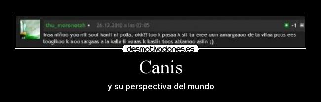Canis - y su perspectiva del mundo