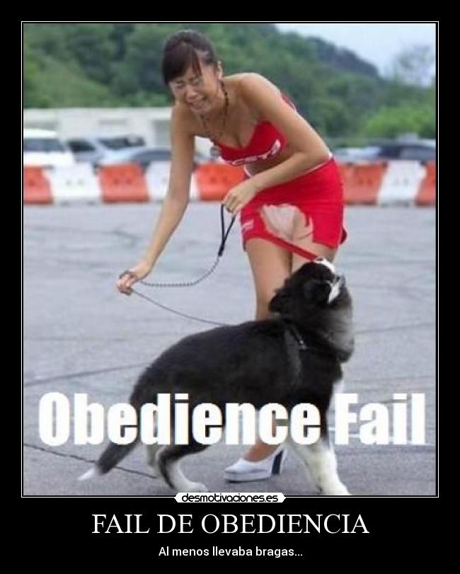 FAIL DE OBEDIENCIA -