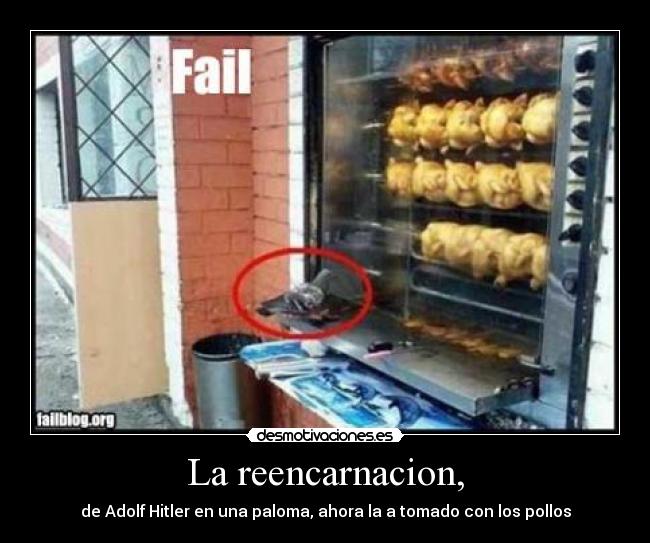 La reencarnacion, -