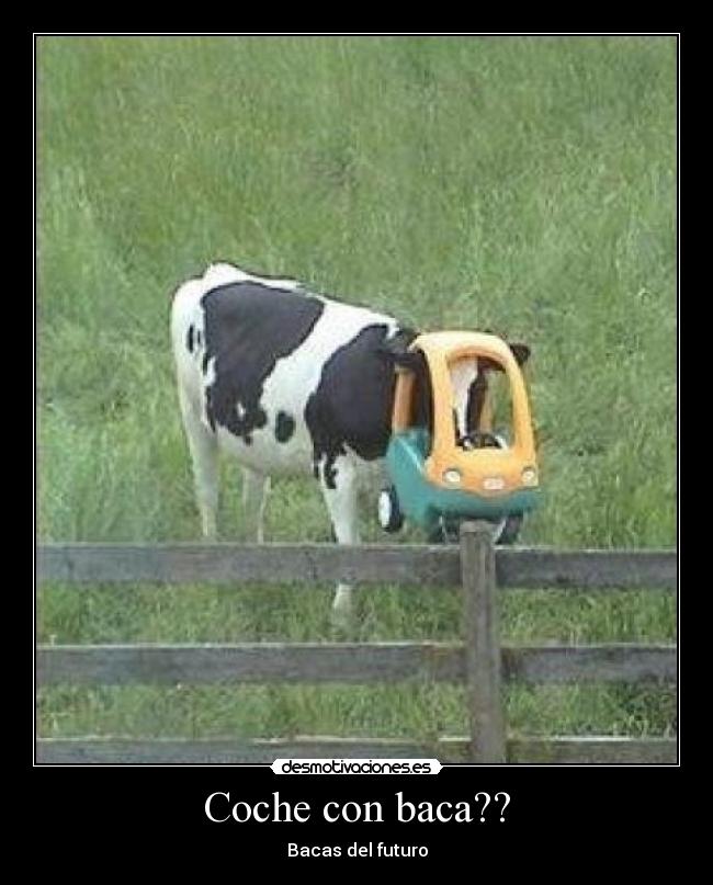 Coche con baca?? - Bacas del futuro