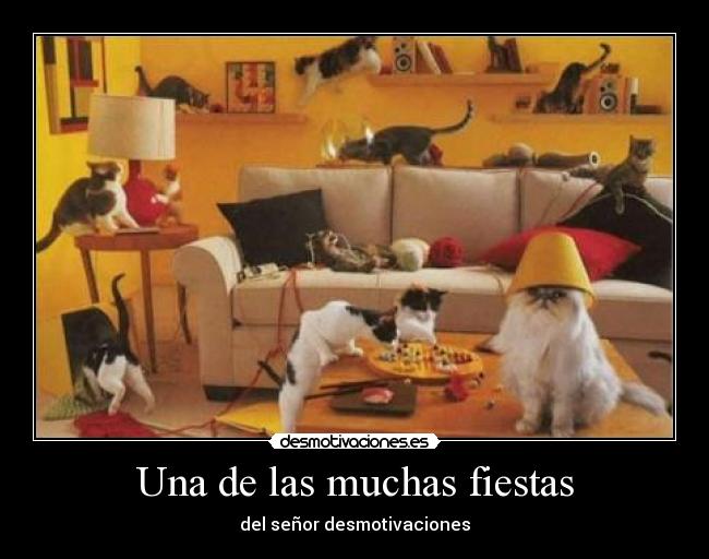 Una de las muchas fiestas -