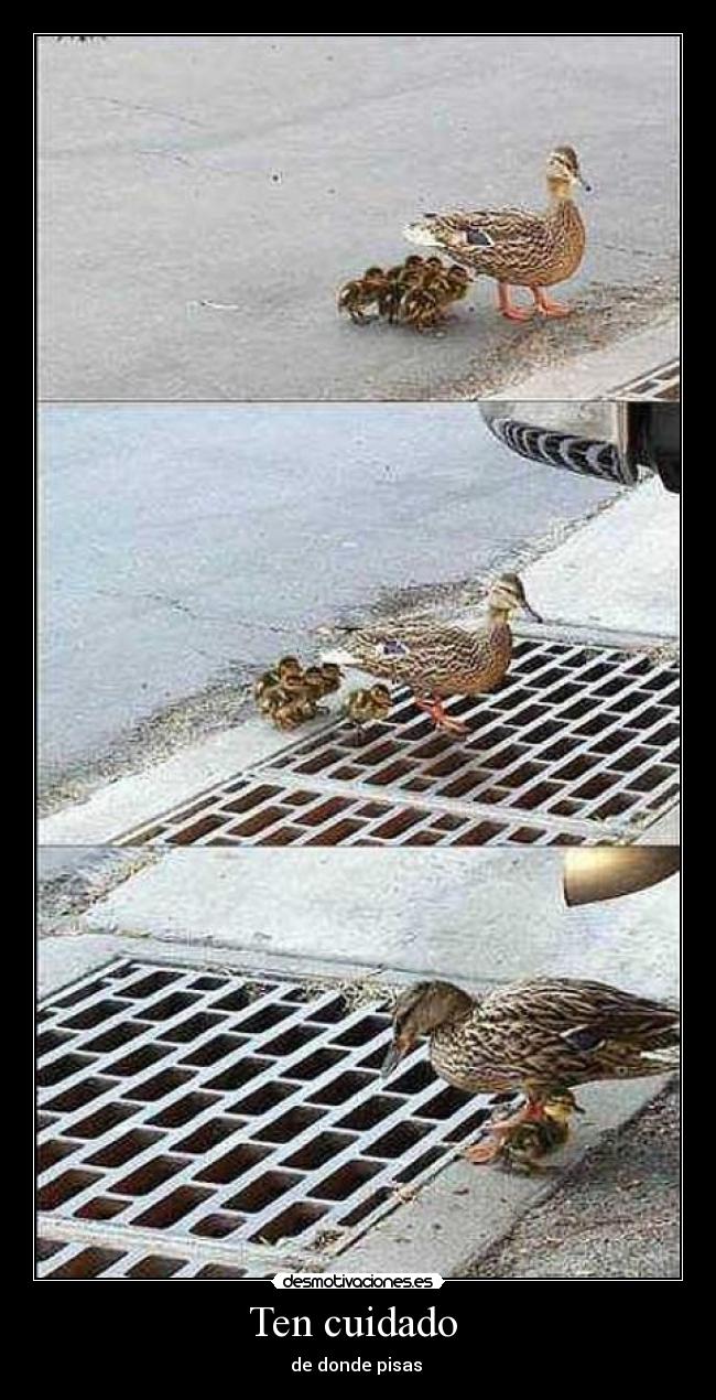 Ten cuidado  - de donde pisas 
