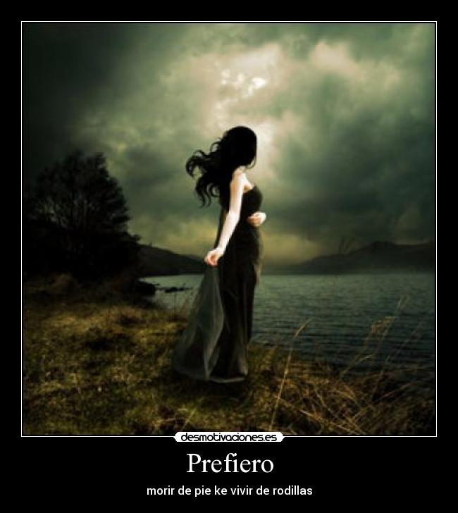 carteles prefiero desmotivaciones