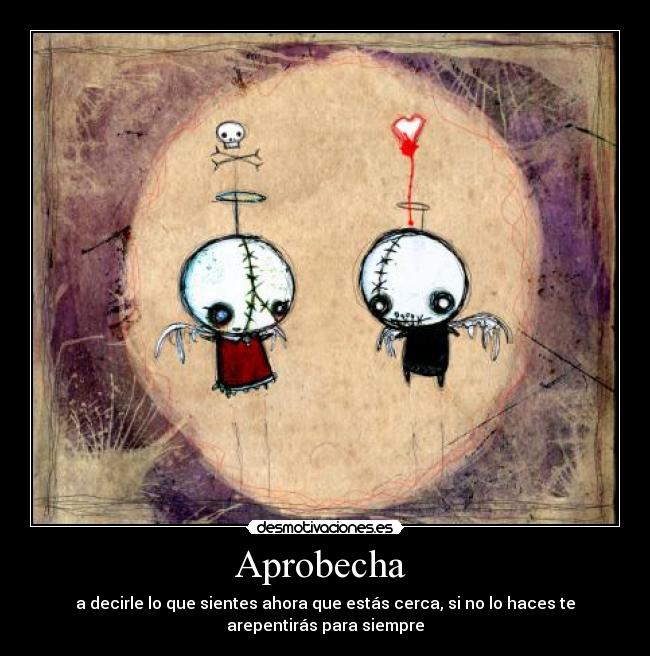 Aprobecha -