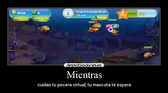 Mientras - cuidas tu pecera virtual, tu mascota te espera
