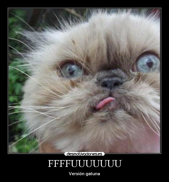 FFFFUUUUUUU - Versión gatuna
