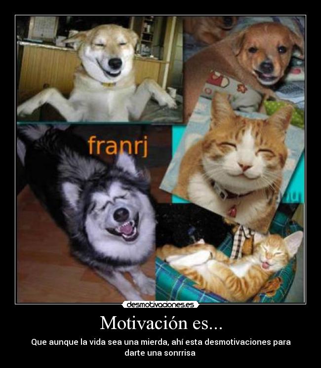 Motivación es... - Que aunque la vida sea una mierda, ahí esta desmotivaciones para
darte una sonrrisa