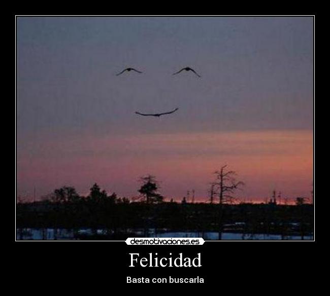Felicidad - Basta con buscarla