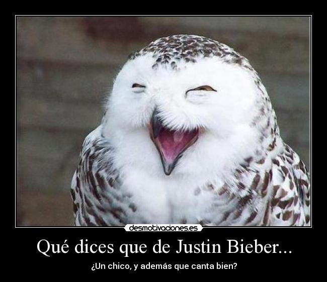 Qué dices que de Justin Bieber... - 