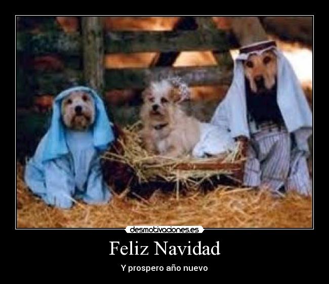 Feliz Navidad - 