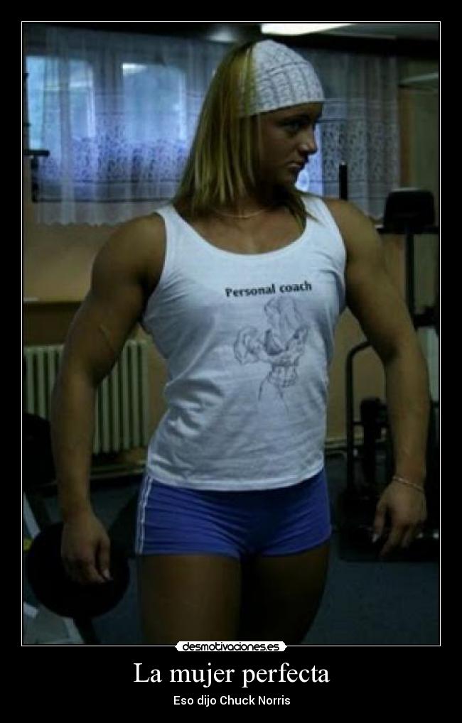 La mujer perfecta - Eso dijo Chuck Norris