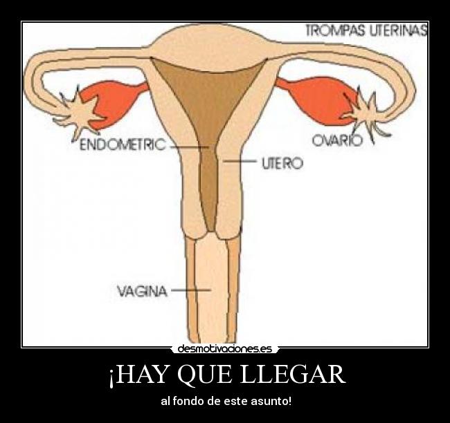 ¡HAY QUE LLEGAR - 