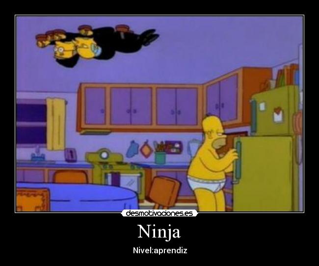 Ninja - Nivel:aprendiz