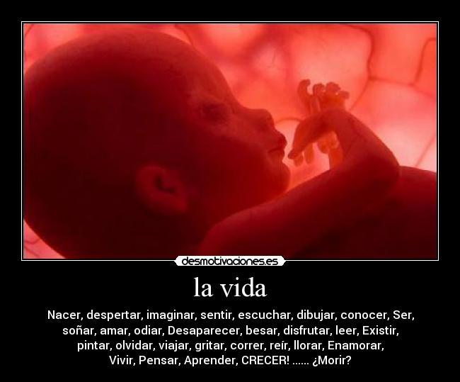 la vida - 