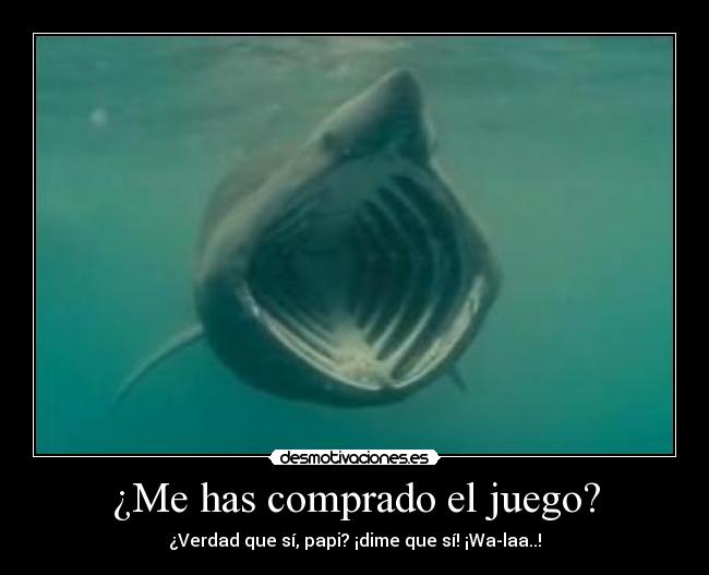 carteles felicidad desmotivaciones