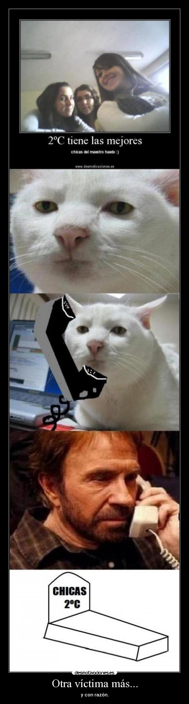 Otra víctima más... - y con razón.