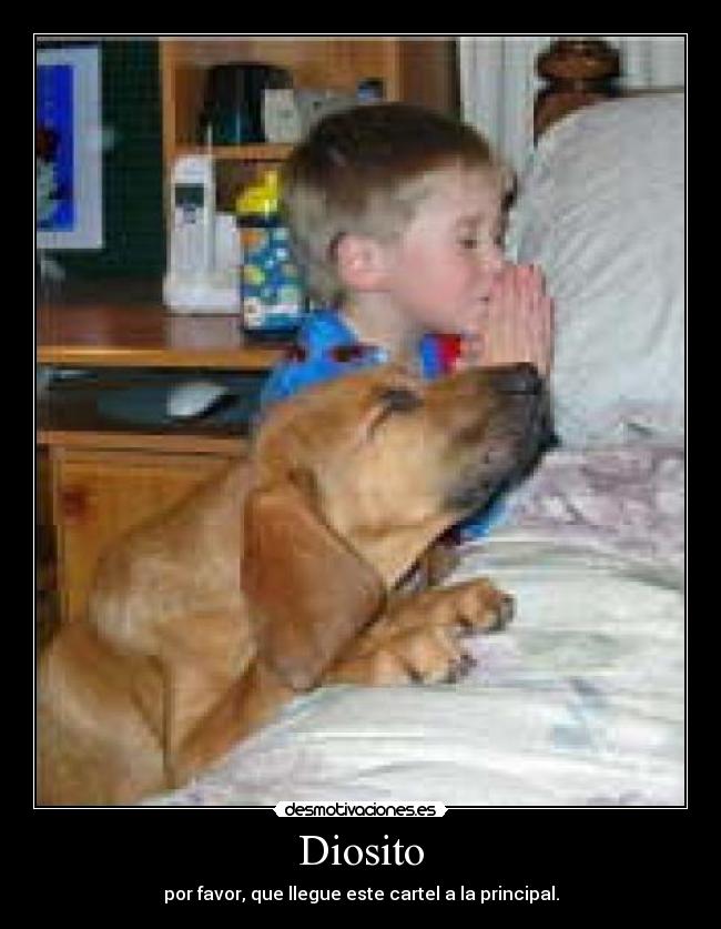Diosito - por favor, que llegue este cartel a la principal.