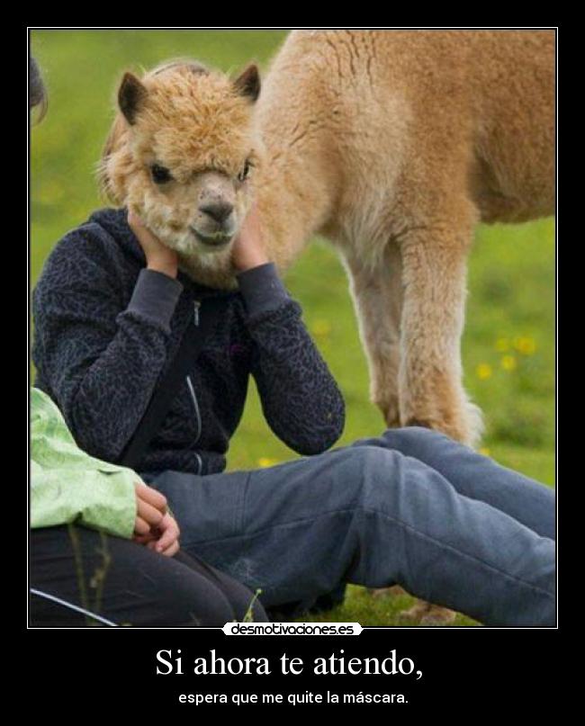 Si ahora te atiendo,  - espera que me quite la máscara.