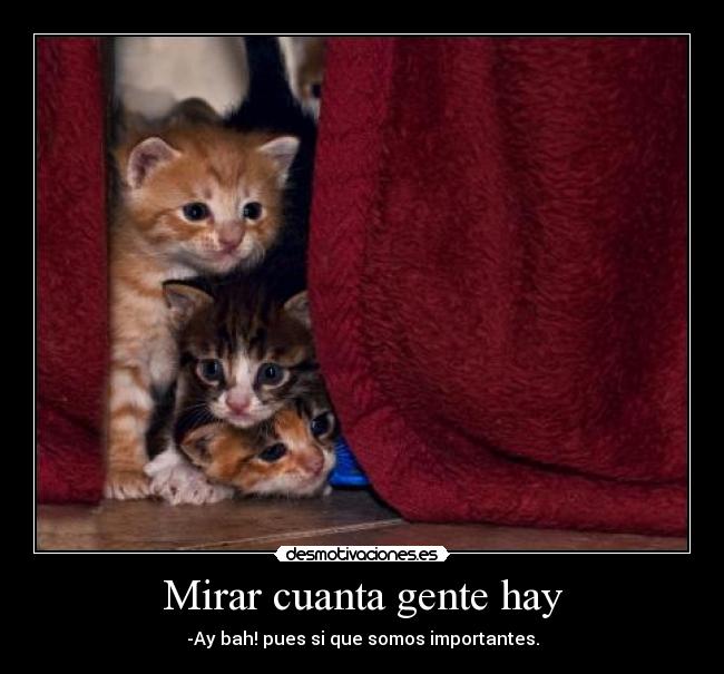 Mirar cuanta gente hay -