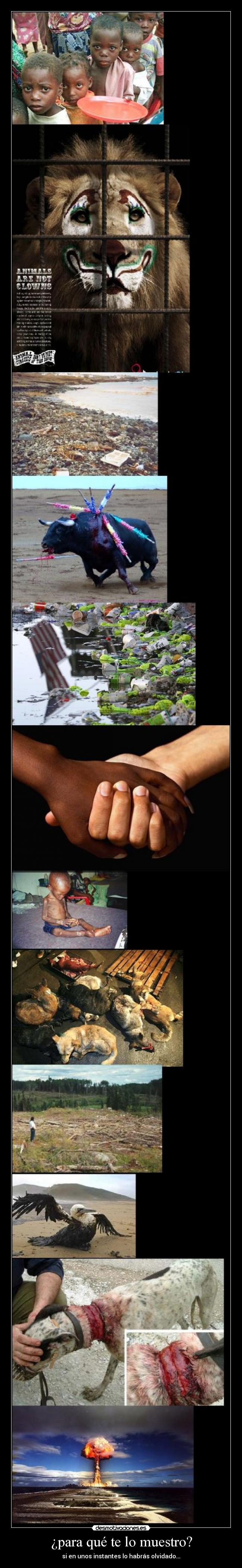 ¿para qué te lo muestro? - si en unos instantes lo habrás olvidado...