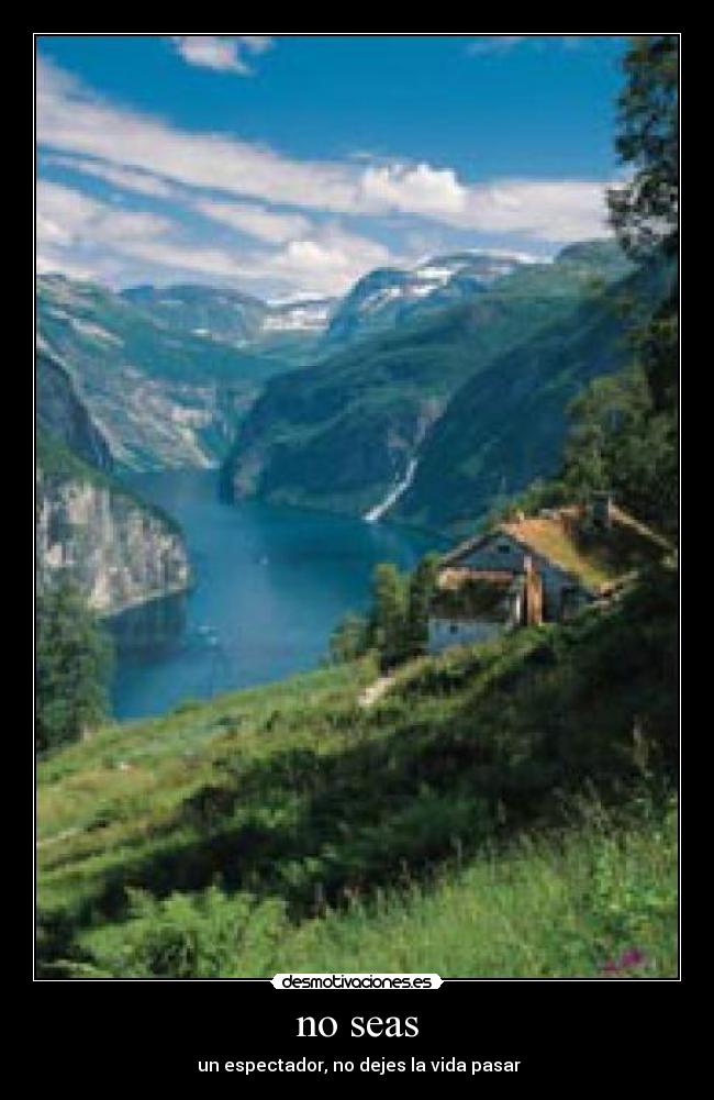 carteles vida desmotivaciones