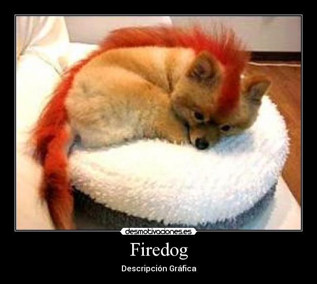 Firedog - Descripción Gráfica