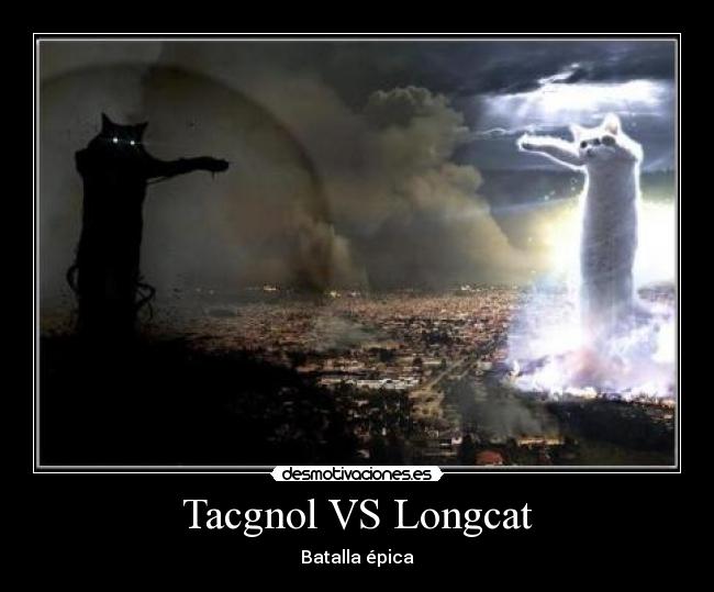 carteles tacgnol longcat desmotivaciones