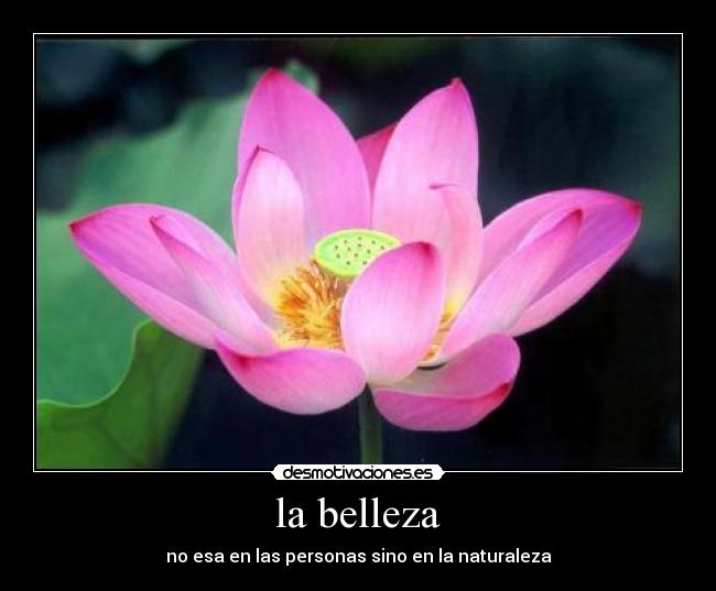 la belleza - no esa en las personas sino en la naturaleza