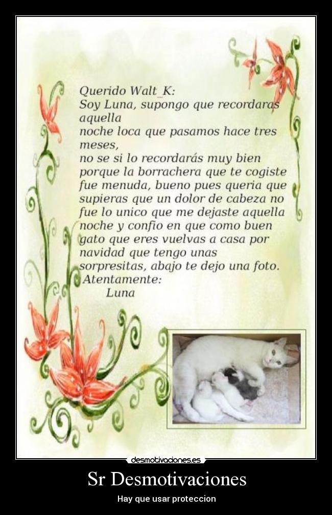 Sr Desmotivaciones -