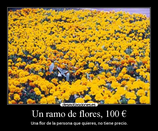 Un ramo de flores, 100 € -