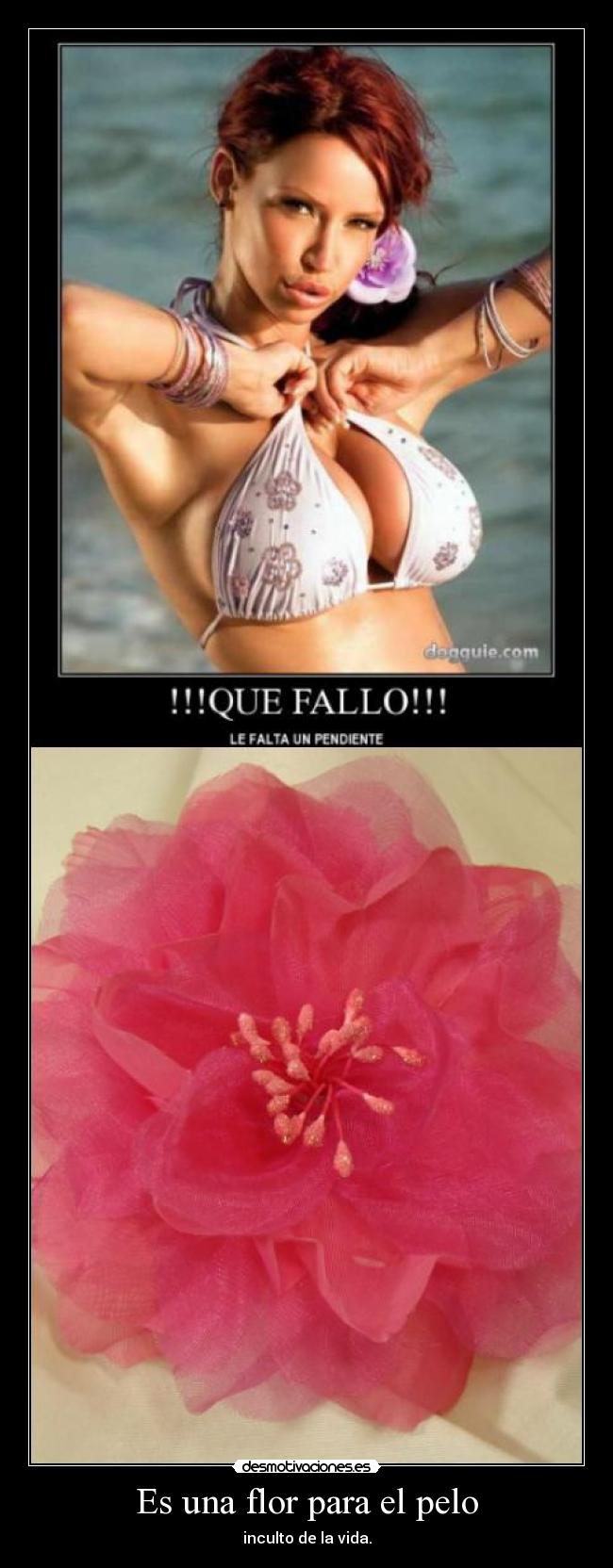 Es una flor para el pelo - 