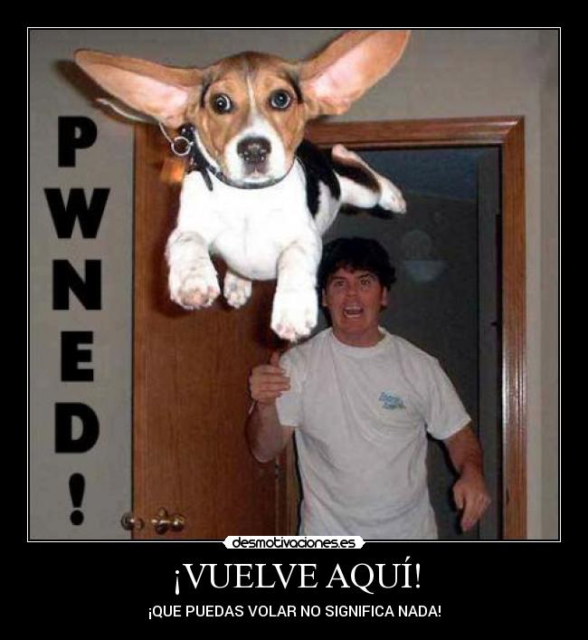 ¡VUELVE AQUÍ! - ¡QUE PUEDAS VOLAR NO SIGNIFICA NADA!
