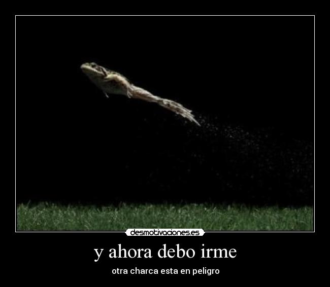 y ahora debo irme - otra charca esta en peligro