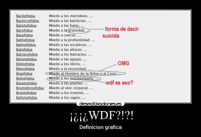 ¡¿¡¿WDF?!?! -